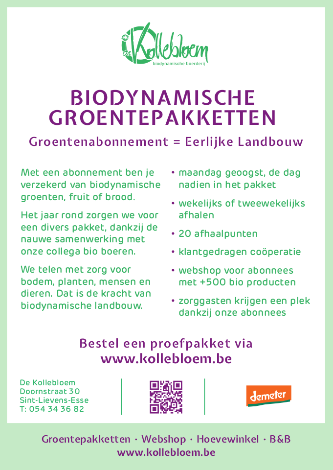 kaartje