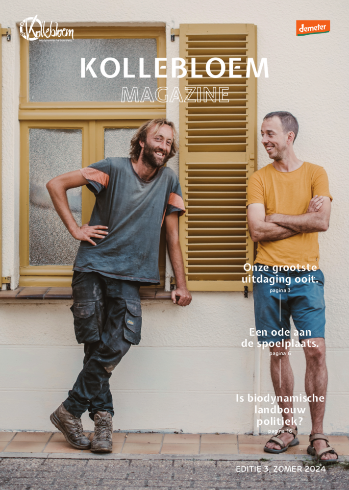 magazine zomer 2024