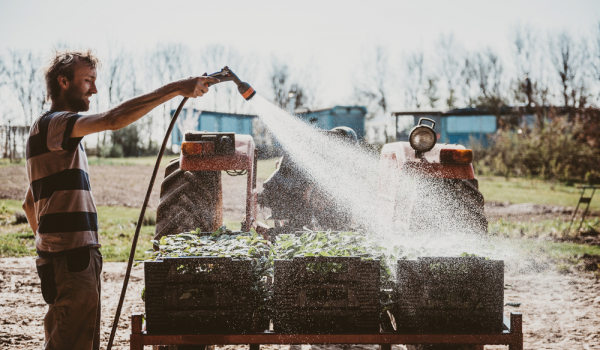 water beregenen plantgoed manuel