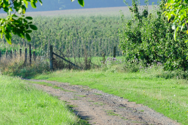 slider bioschuurke