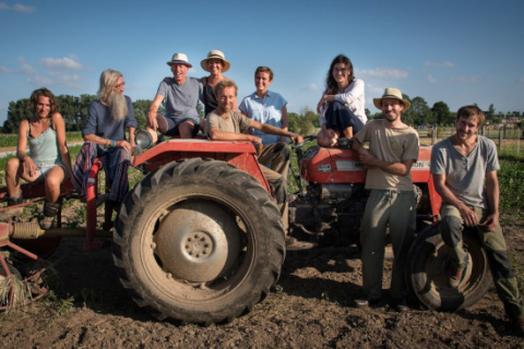 groep tractor kleinere verhouding