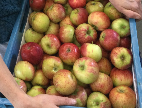 appels