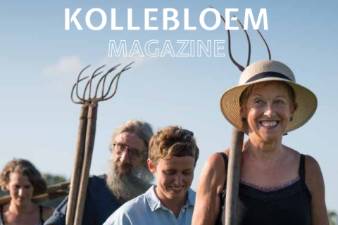 magazine klein