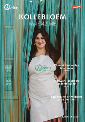 magazine