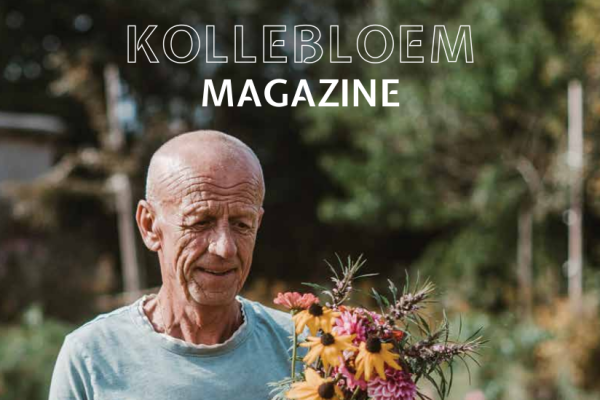 magazine klein