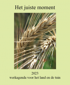 Het Juiste Moment