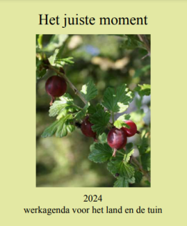 Het Juiste Moment