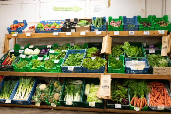 Bio Hoevewinkel