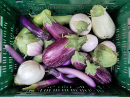 3 kg aubergine